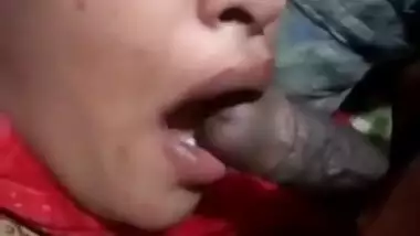 Desi Bhabhi Sucking Fucking