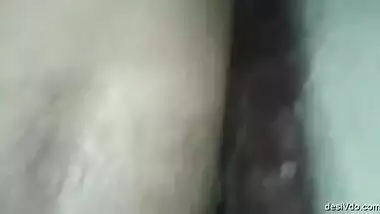 Indian Bhabi Sucking Dick