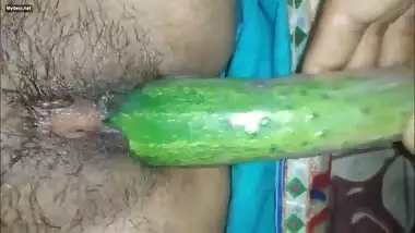 Desi bhabi fun with vegi