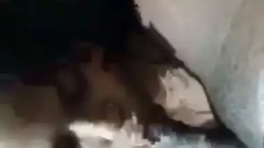 Desi wife oral sex and pissing video compilation