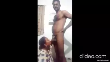 Indian Matured Aunty Giving blowjob