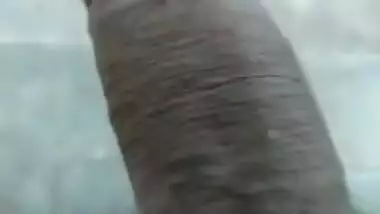 Hairy Dick Pissing Vid