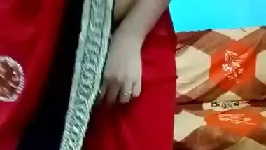 Desi Girl in Saree Pressing her boobs