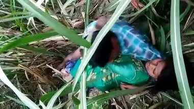 Dehati Lovers Having Sex In A Grass Field